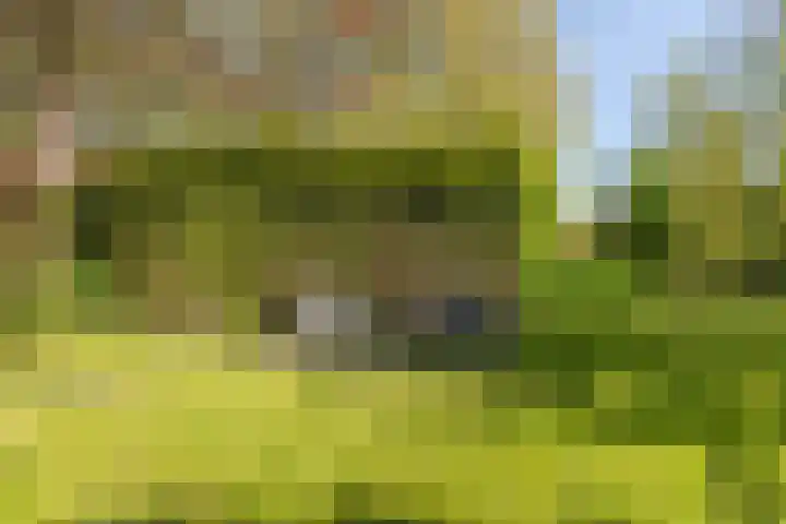 de Kolk 12 Oudebildtzijl thumbnail 30