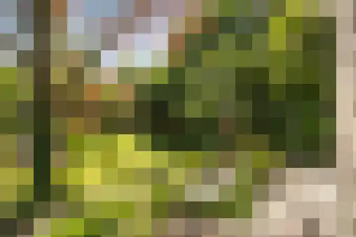 de Kolk 12 Oudebildtzijl thumbnail 31
