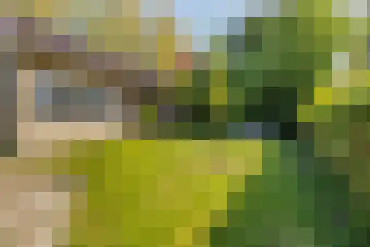 de Kolk 12 Oudebildtzijl thumbnail 32