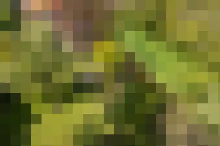 de Kolk 12 Oudebildtzijl thumbnail 33