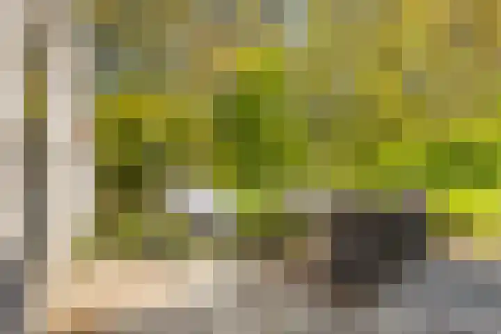 de Kolk 12 Oudebildtzijl thumbnail 34