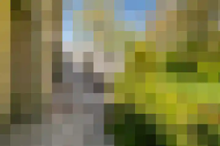 de Kolk 12 Oudebildtzijl thumbnail 36