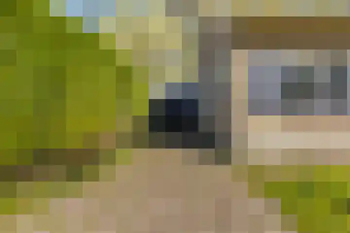 de Kolk 12 Oudebildtzijl thumbnail 37
