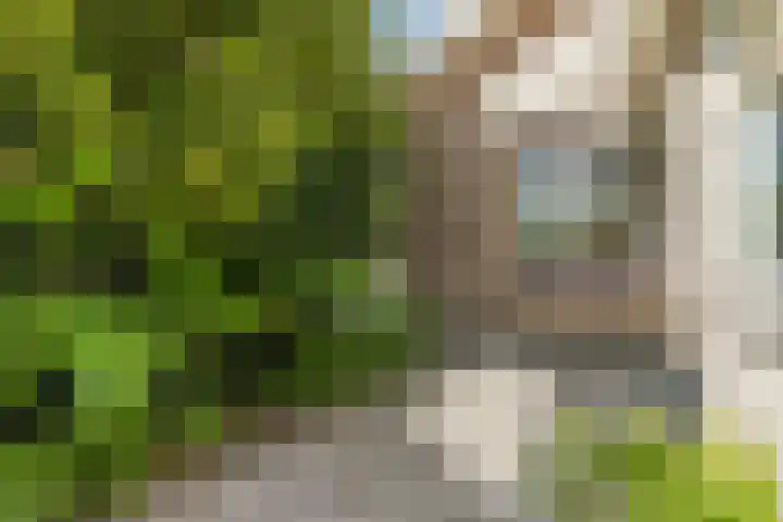 de Kolk 12 Oudebildtzijl thumbnail 38