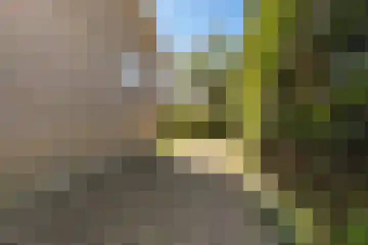 de Kolk 12 Oudebildtzijl thumbnail 39