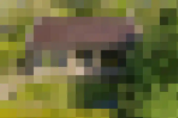 de Kolk 12 Oudebildtzijl thumbnail 41