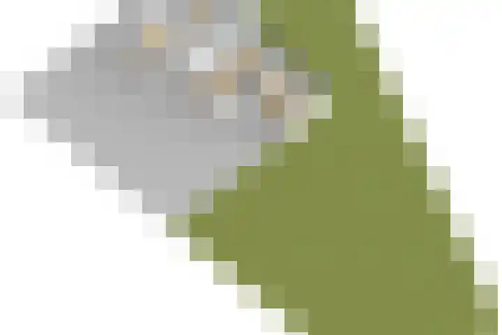 de Kolk 12 Oudebildtzijl thumbnail 46
