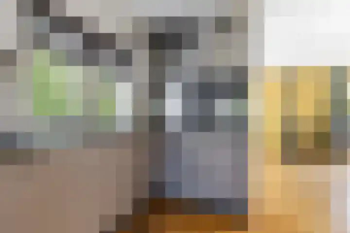 de Kolk 12 Oudebildtzijl thumbnail 8