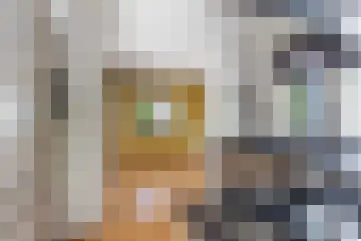 de Kolk 12 Oudebildtzijl thumbnail 9