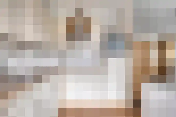 De Kolk 16 Swalmen thumbnail 12