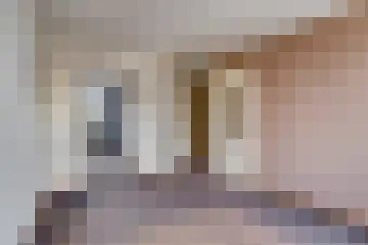 De Kolk 16 Swalmen thumbnail 16