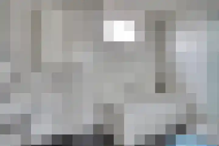 De Kolk 16 Swalmen thumbnail 21
