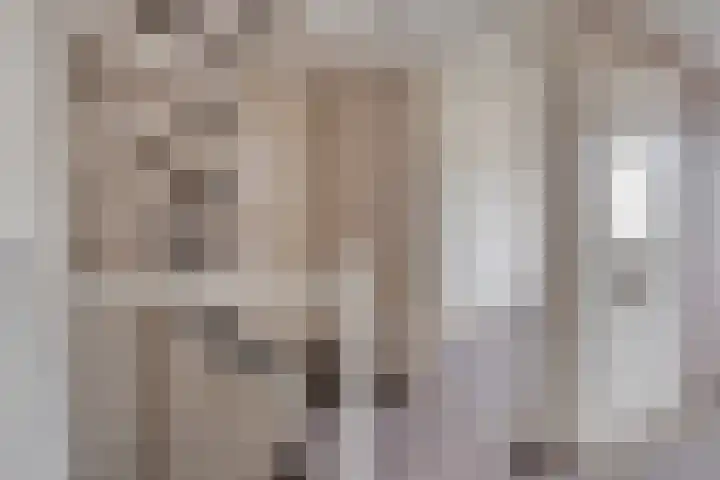 De Kolk 16 Swalmen thumbnail 23