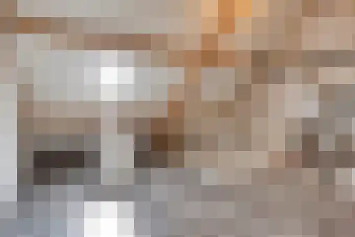 De Kolk 16 Swalmen thumbnail 24