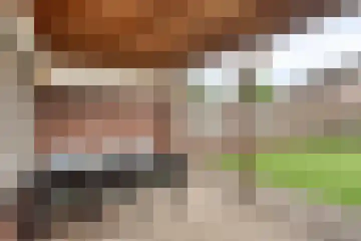 De Kolk 16 Swalmen thumbnail 26