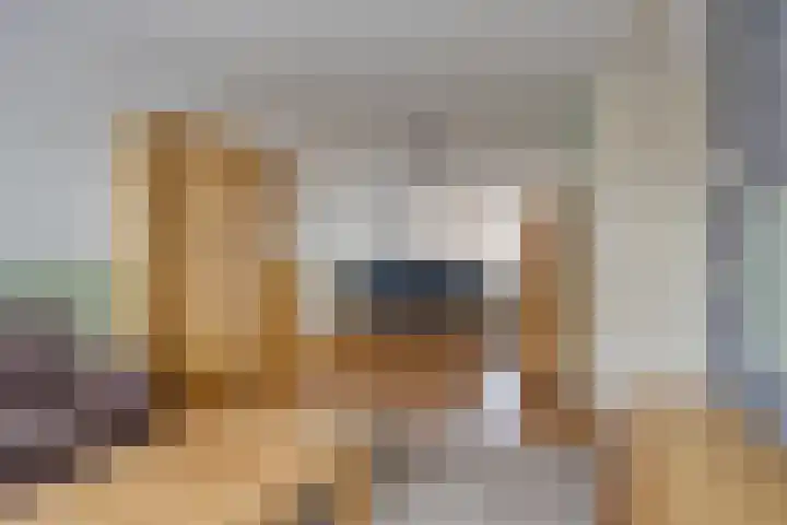 De Kolk 16 Swalmen thumbnail 7