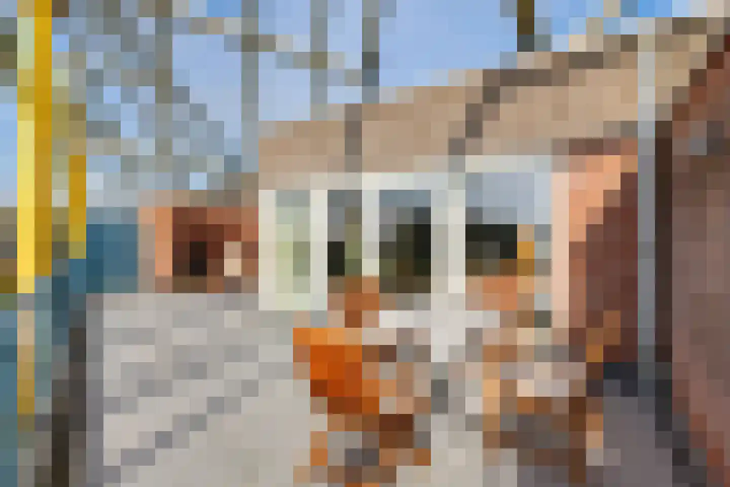 De Kolk 16 Woudsend thumbnail 13