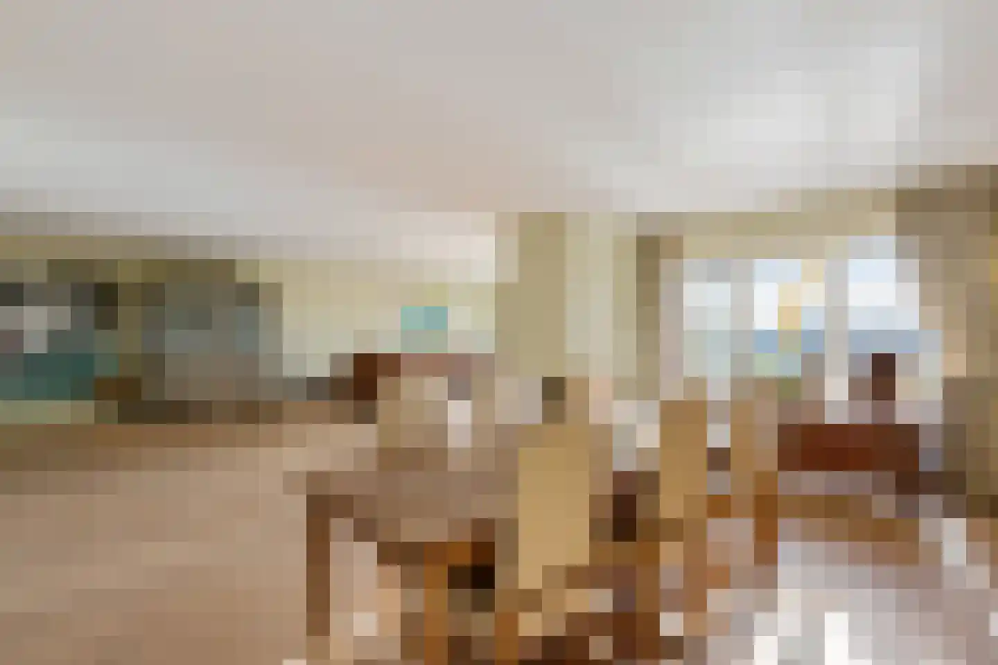 De Kolk 16 Woudsend thumbnail 18