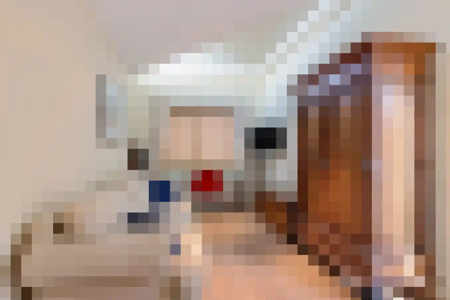 De Kolk 16 Woudsend thumbnail 35