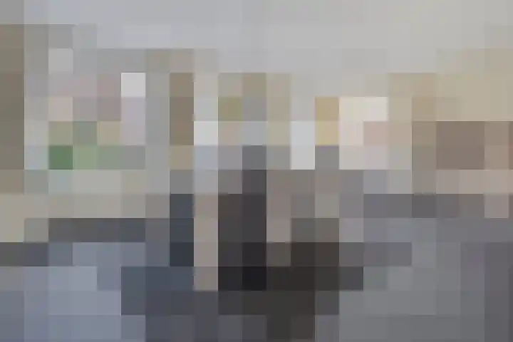 De Kolk 2 Hardenberg thumbnail 12