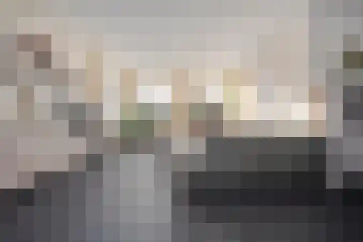 De Kolk 2 Hardenberg thumbnail 13