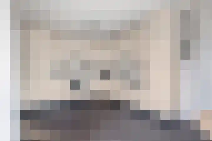 De Kolk 2 Hardenberg thumbnail 25