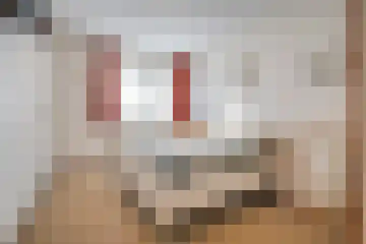 De Kolk 2 Hardenberg thumbnail 29