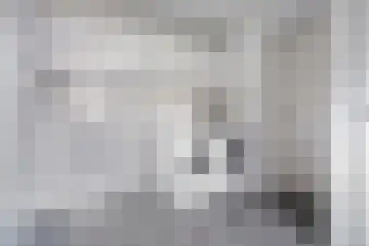 De Kolk 2 Hardenberg thumbnail 33