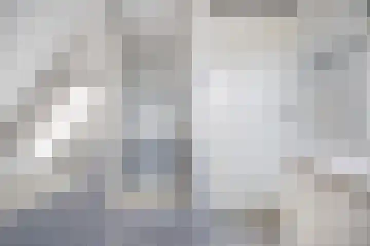 De Kolk 2 Hardenberg thumbnail 39