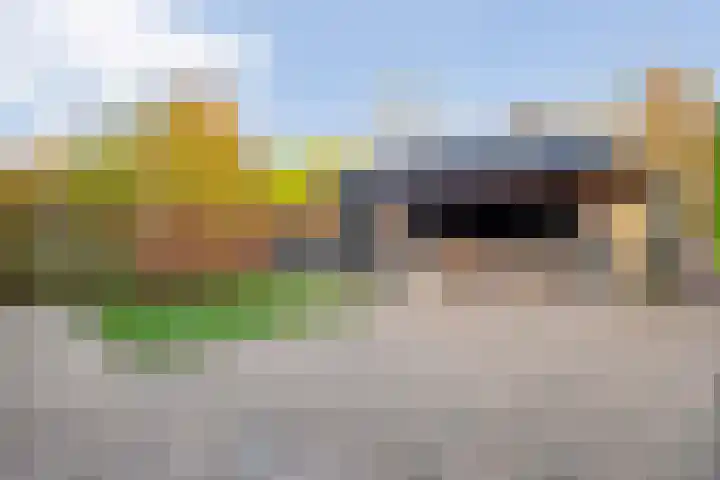 De Kolk 2 Hardenberg thumbnail 47