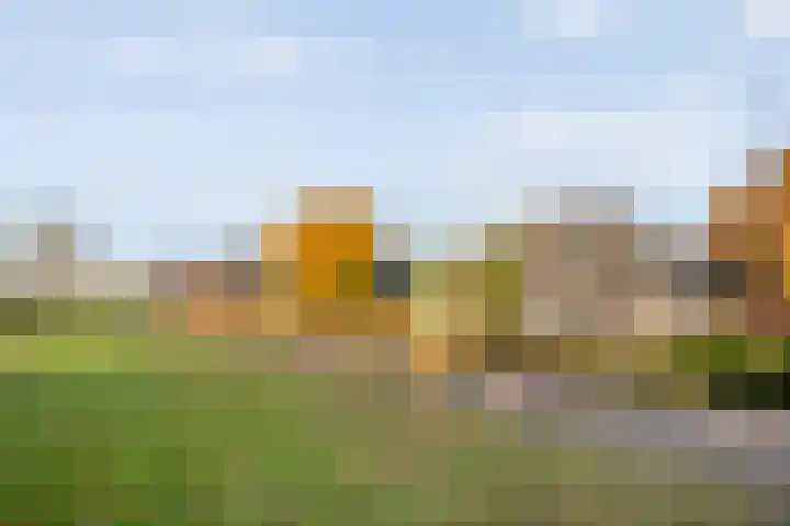 De Kolk 2 Hardenberg thumbnail 5