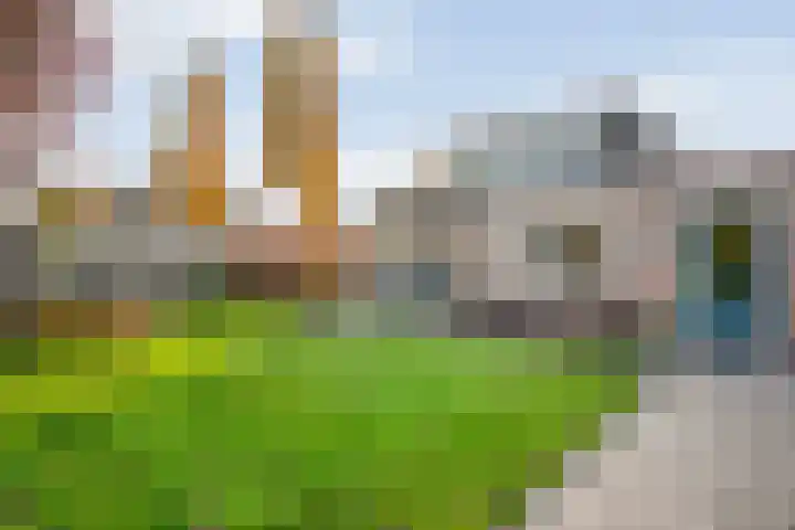 De Kolk 2 Hardenberg thumbnail 50