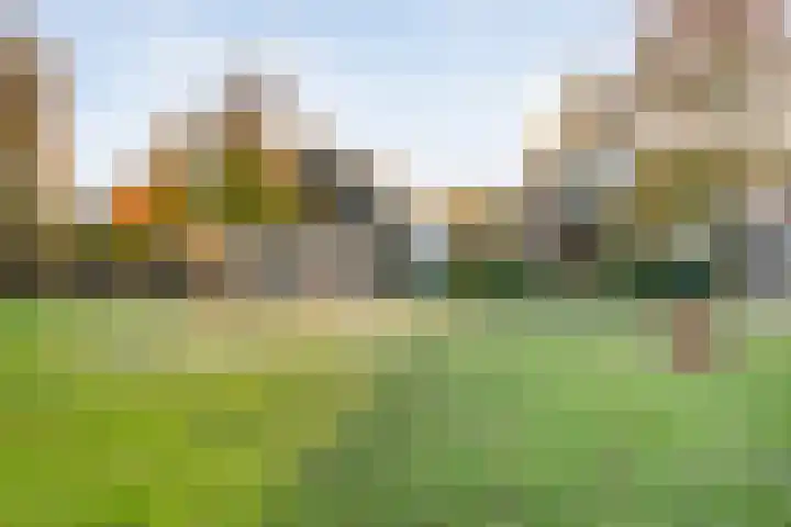 De Kolk 2 Hardenberg thumbnail 59