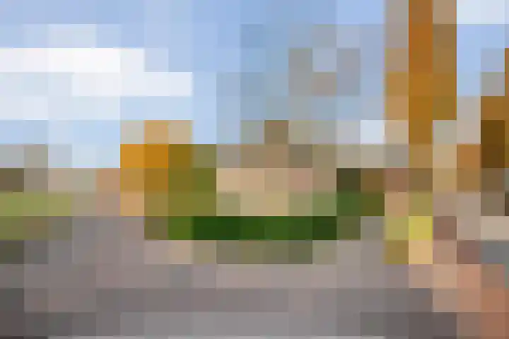 De Kolk 2 Hardenberg thumbnail 6