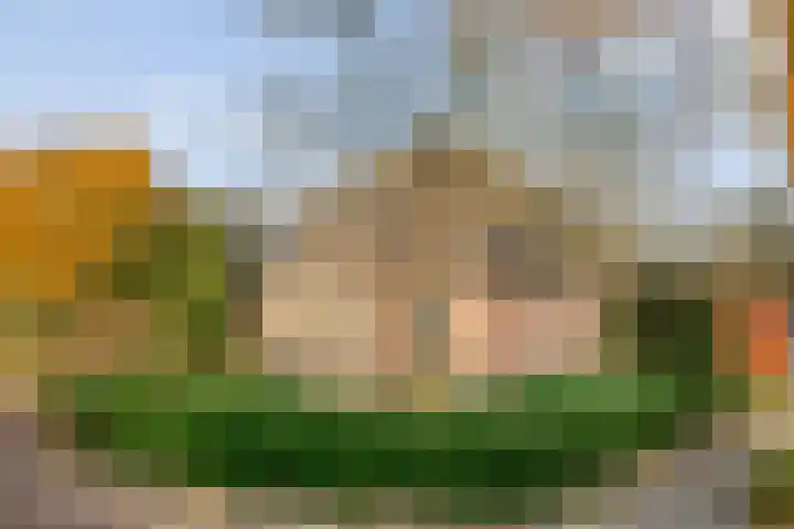 De Kolk 2 Hardenberg thumbnail 7