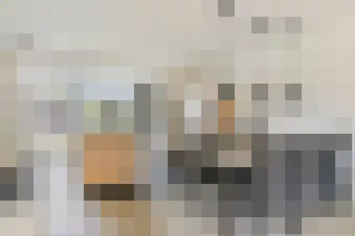 De Kolk 20 Horst thumbnail 13