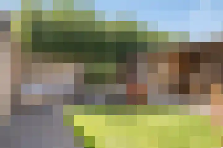 De Kolk 20 Horst thumbnail 30
