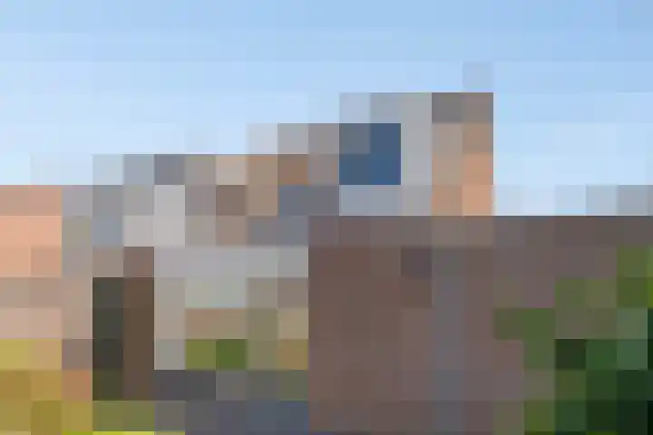 De Kolk 20 Horst thumbnail 31