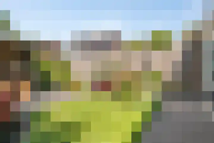 De Kolk 20 Horst thumbnail 4