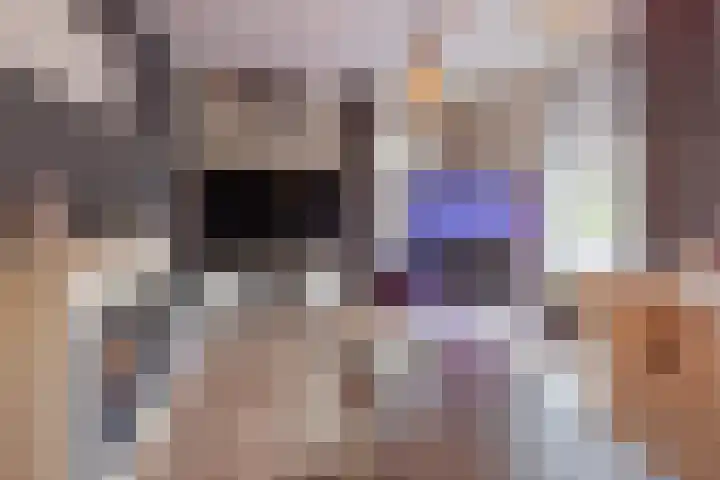De Kolk 21 Horst thumbnail 11