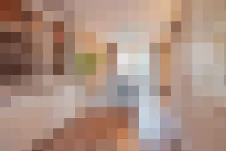 De Kolk 21 Horst thumbnail 12