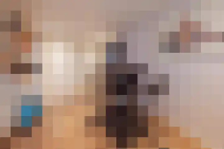 De Kolk 21 Horst thumbnail 17