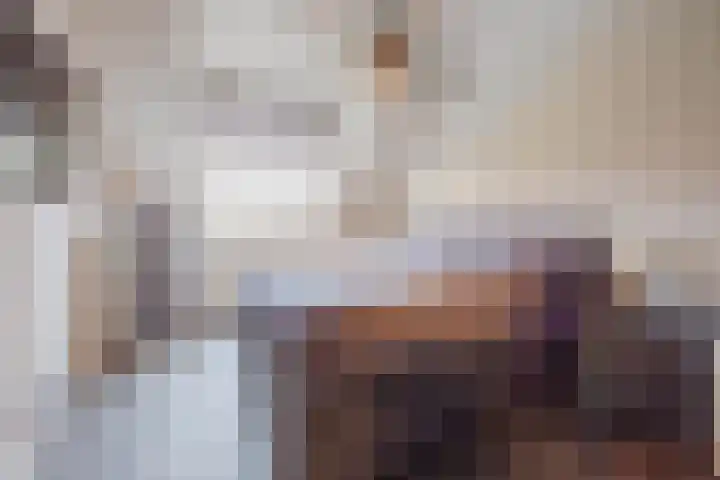 De Kolk 21 Horst thumbnail 19