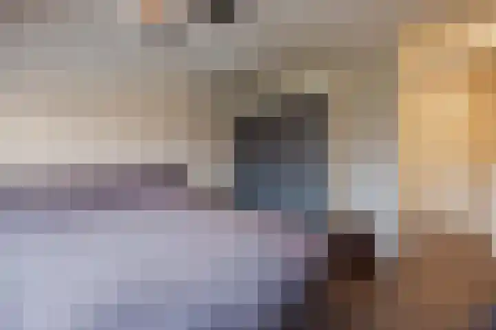 De Kolk 21 Horst thumbnail 20