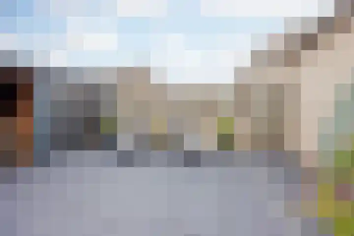 De Kolk 21 Horst thumbnail 30