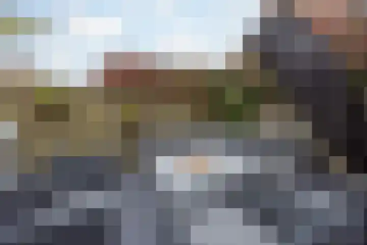 De Kolk 21 Horst thumbnail 31