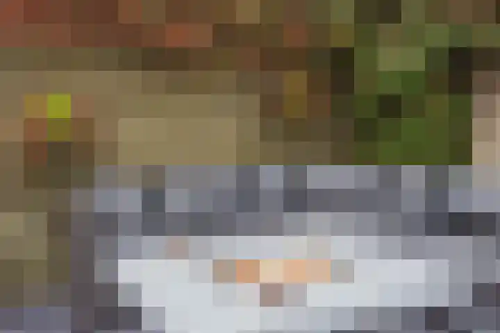De Kolk 21 Horst thumbnail 32