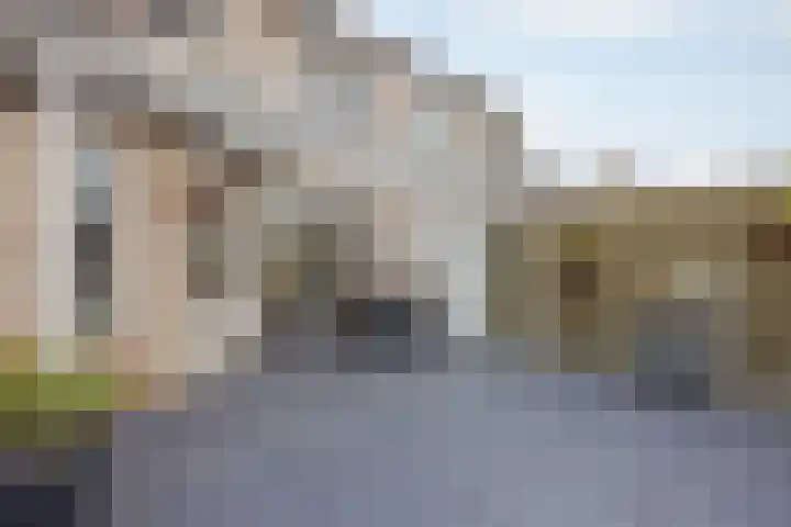 De Kolk 21 Horst thumbnail 34