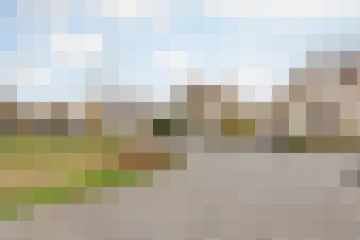 De Kolk 21 Horst thumbnail 36