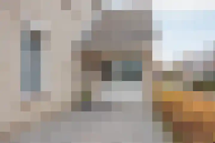 De Kolk 21 Horst thumbnail 38